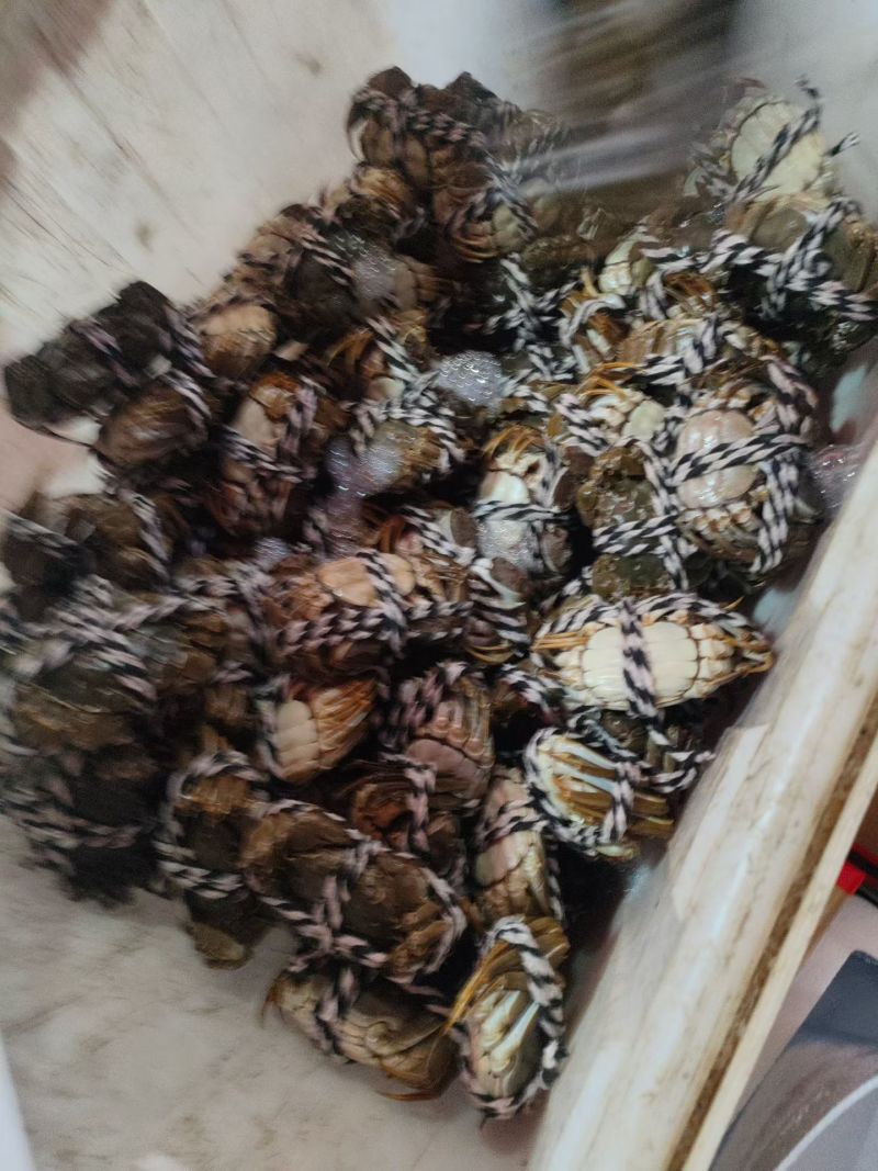 精品大闸蟹，青壳白底，满黄足肉！