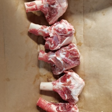 多肉羊棒骨现货直发一件也是批发价