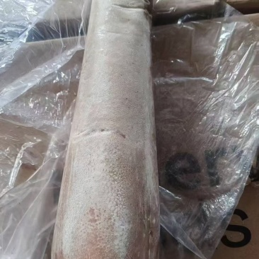 牛舌