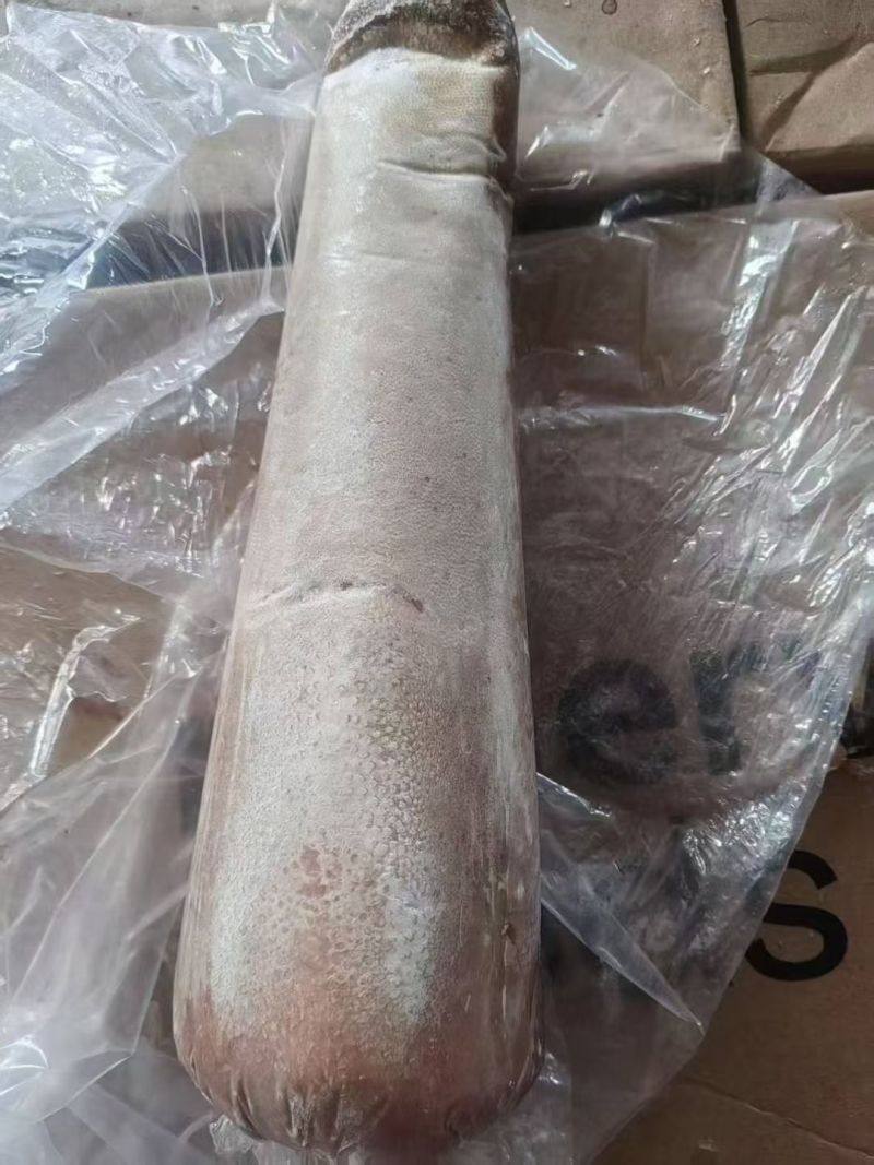 牛舌