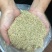 小米粗糠
