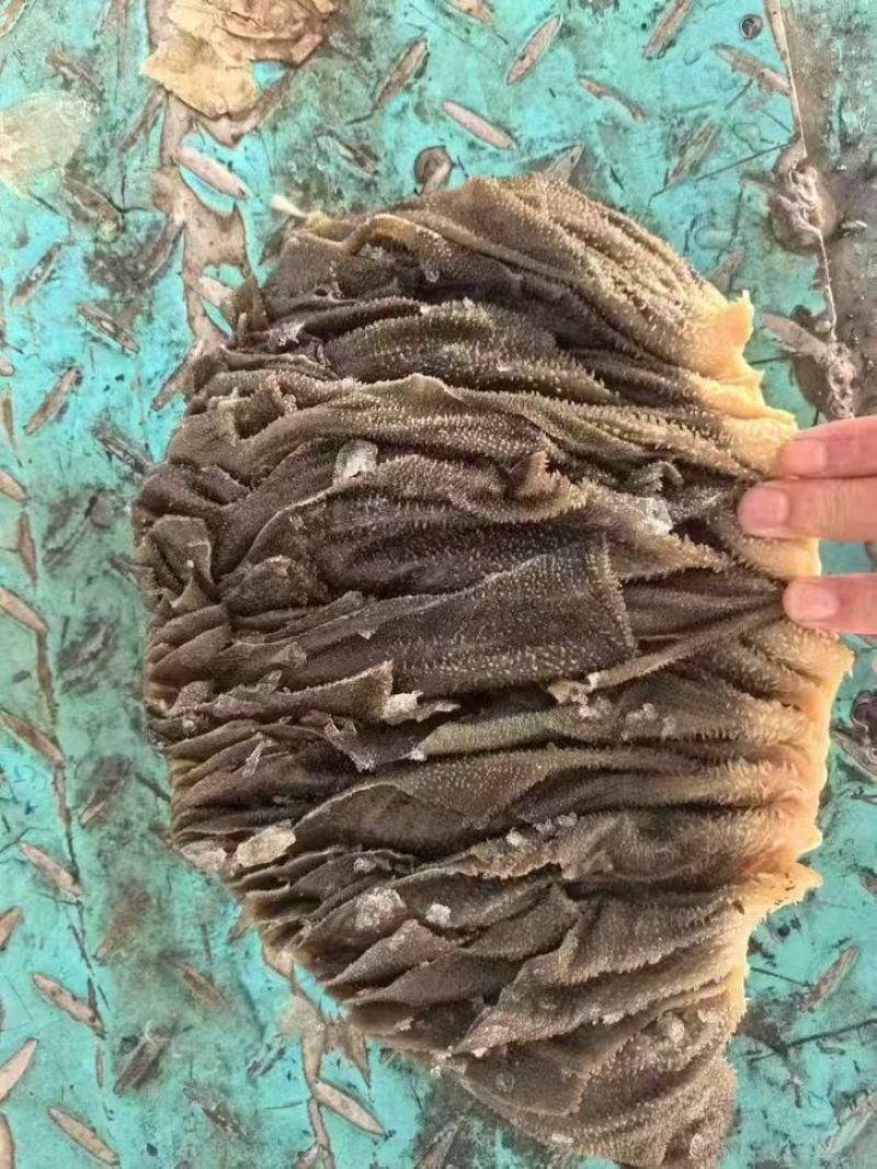 冰鲜牛百叶