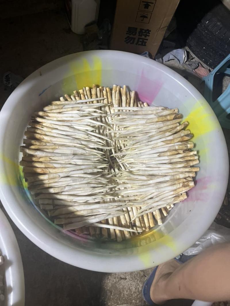 鲜鲜草芽现采现发