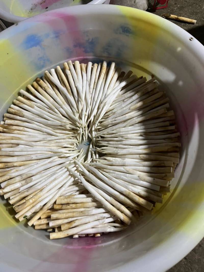 鲜鲜草芽现采现发