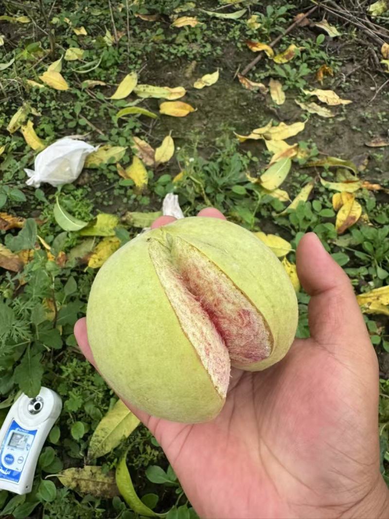 爆炸桃