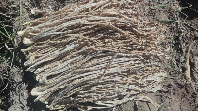 大量出售五把刀萝卜条