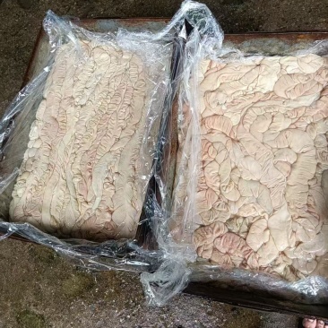猪大肠近期生产的广州提货价格实惠