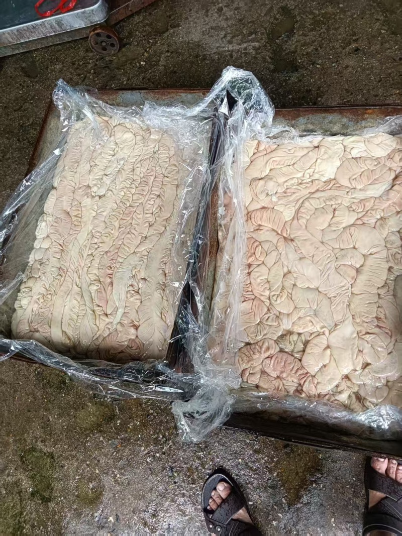 猪大肠近期生产的广州提货价格实惠