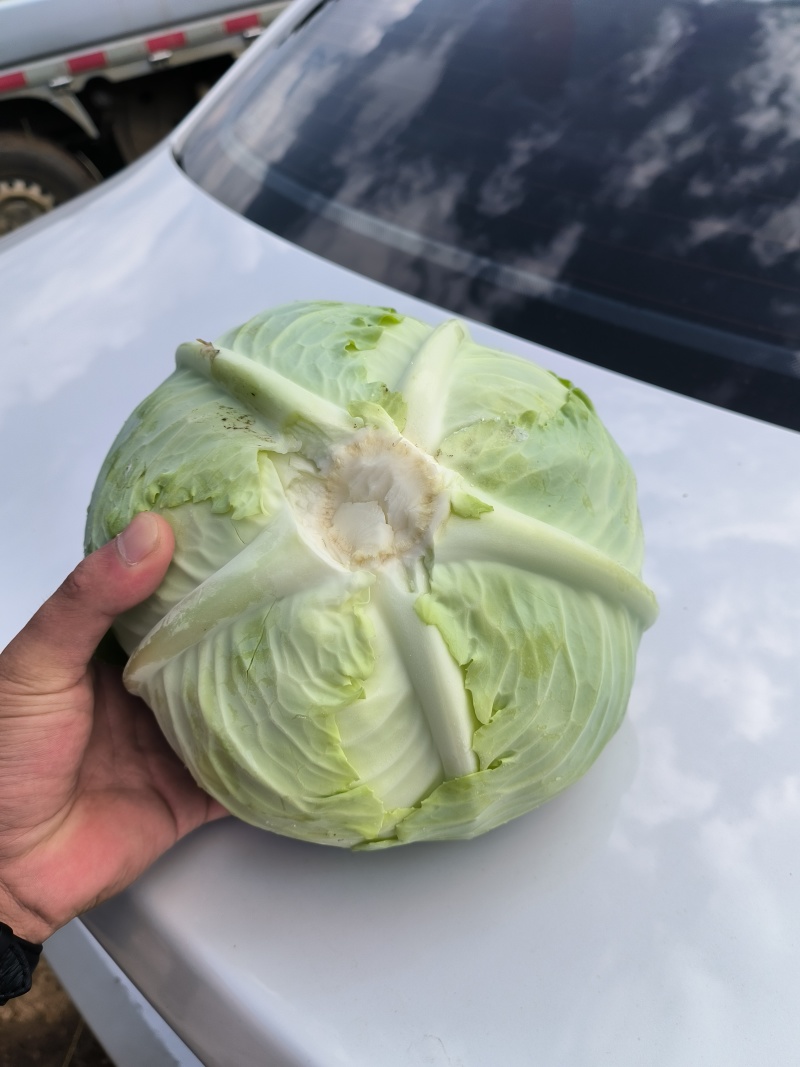 平包