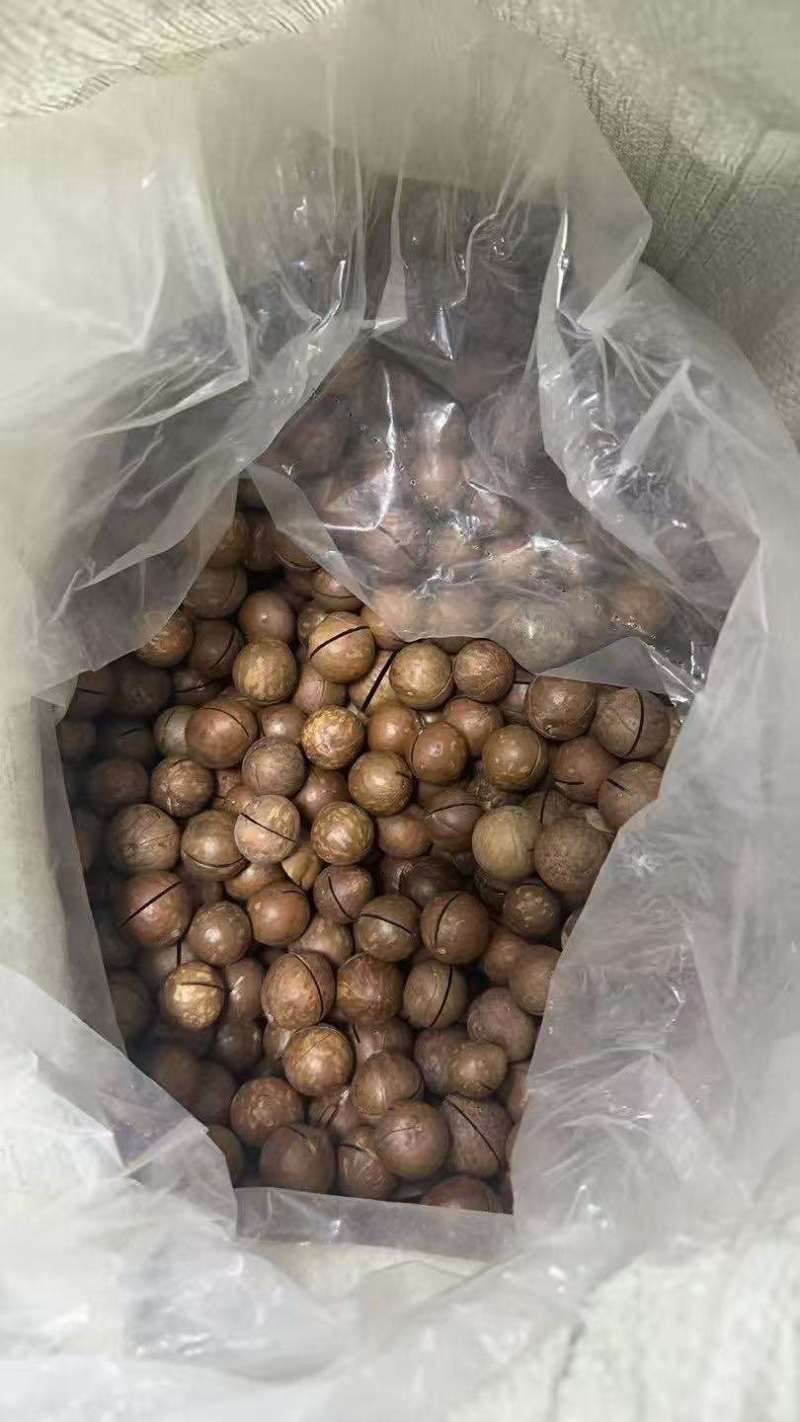 夏威夷果电商一件代发有量你就来