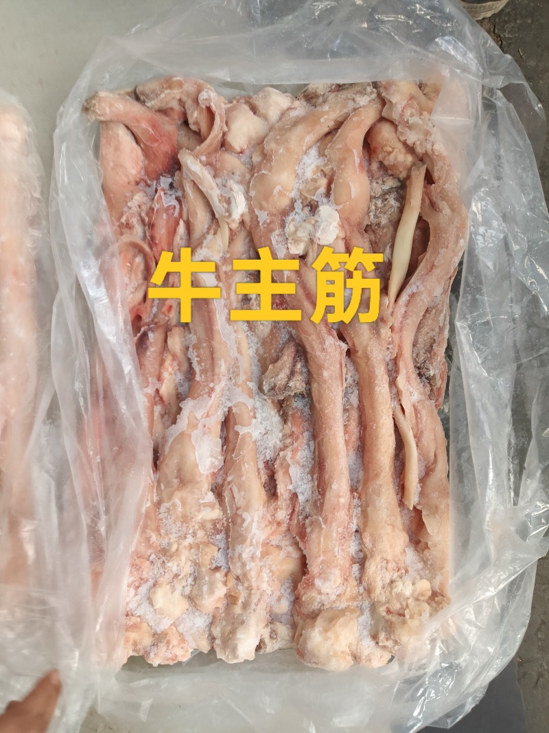 牛主筋