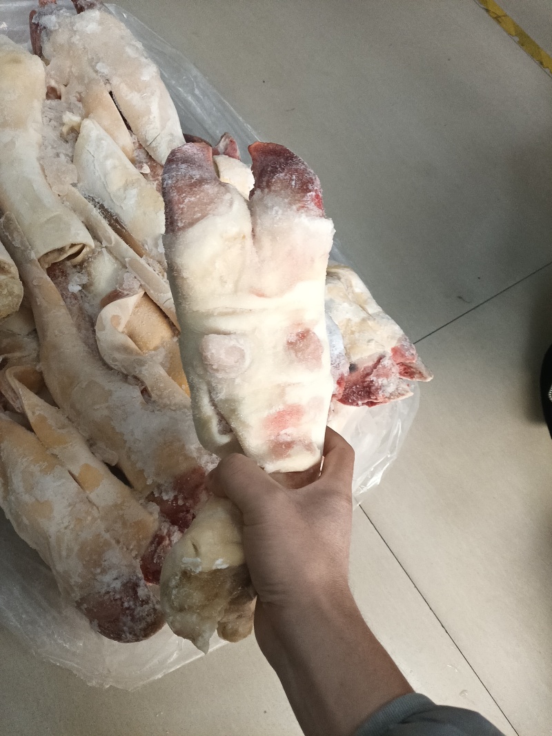 半去骨牛蹄