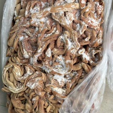 牛小肠，价格可聊