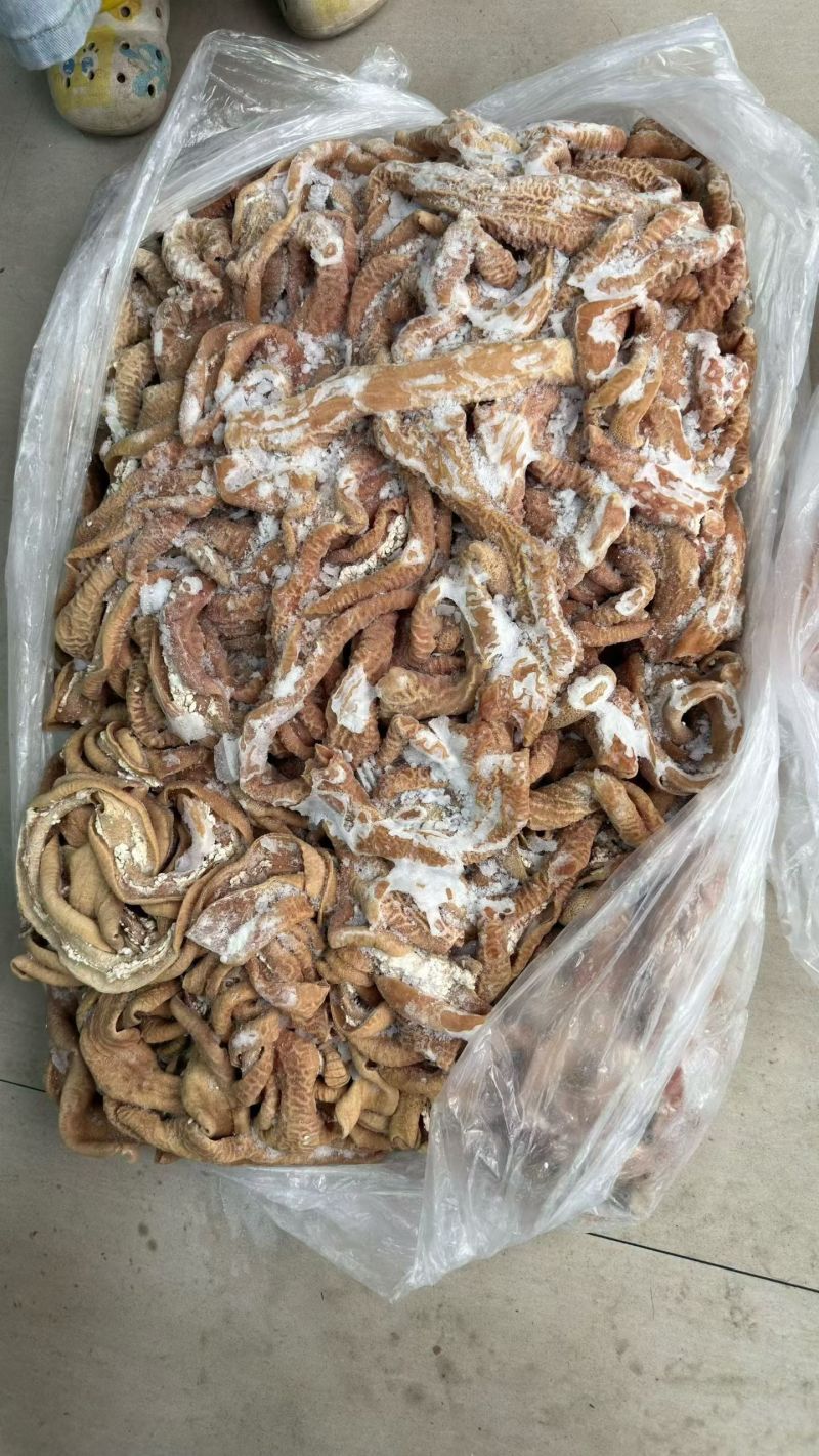 牛小肠，价格可聊