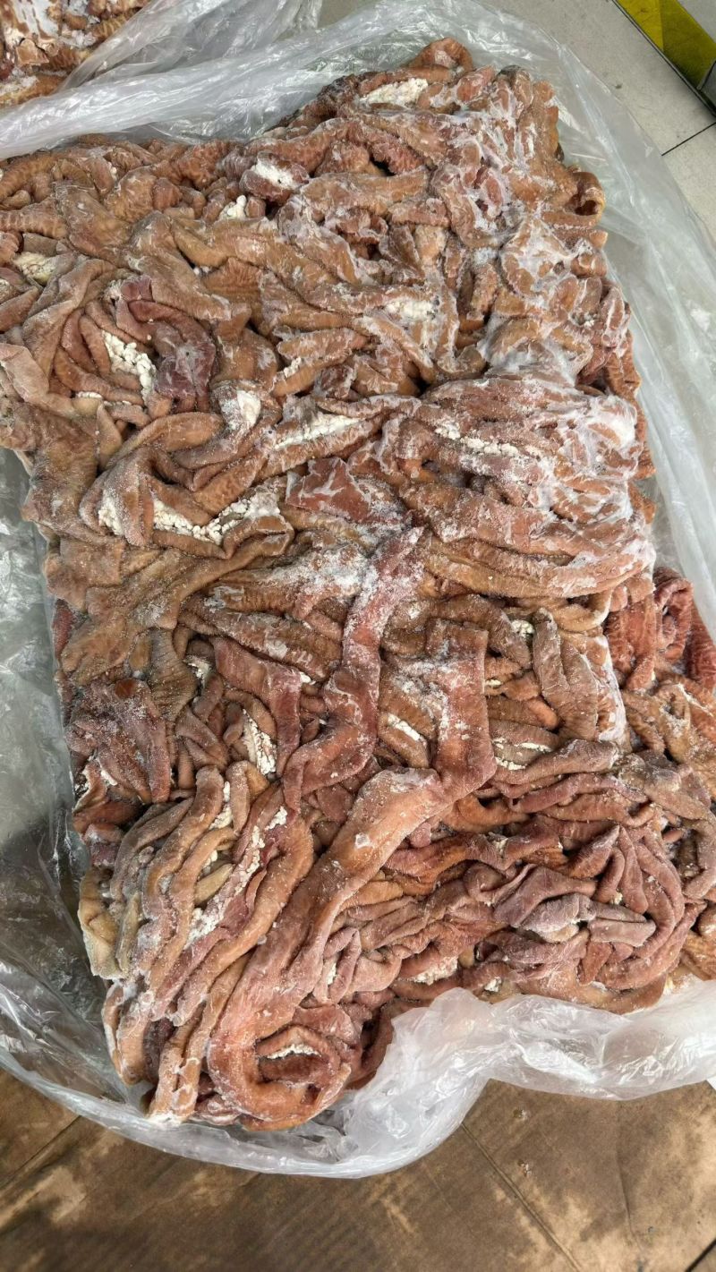 牛小肠，价格可聊