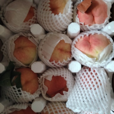 水蜜桃