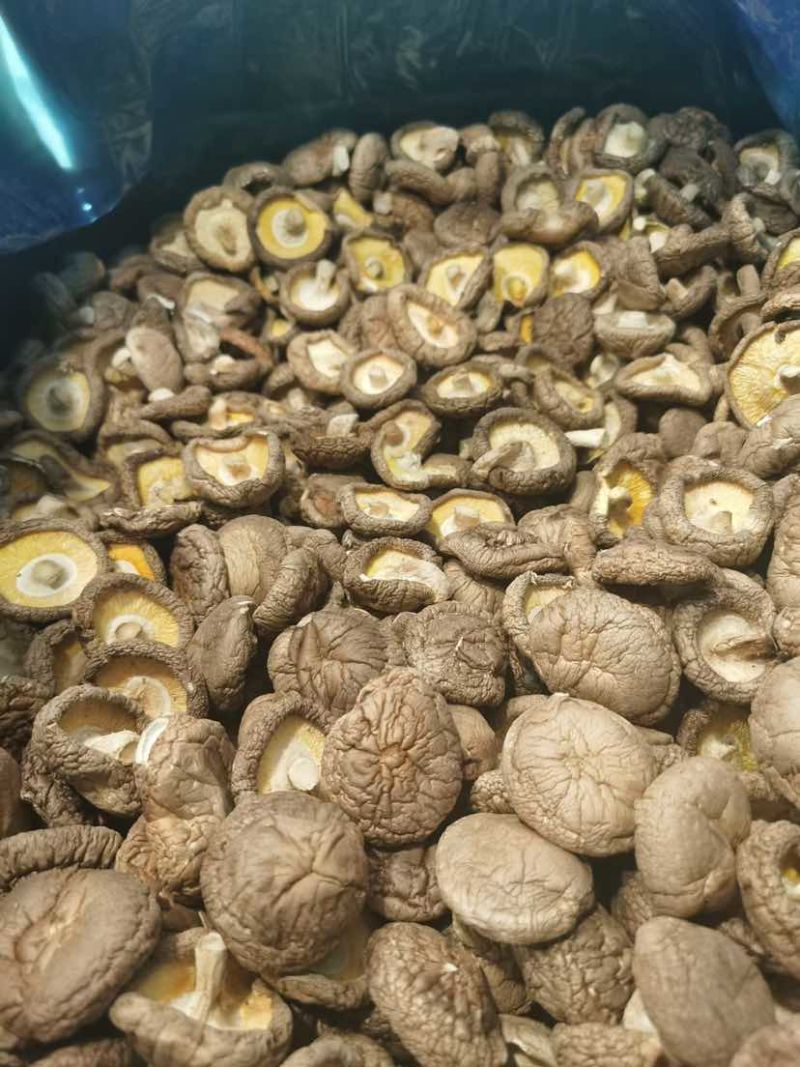 干香菇产地源头基地直一手货源新货电商供货