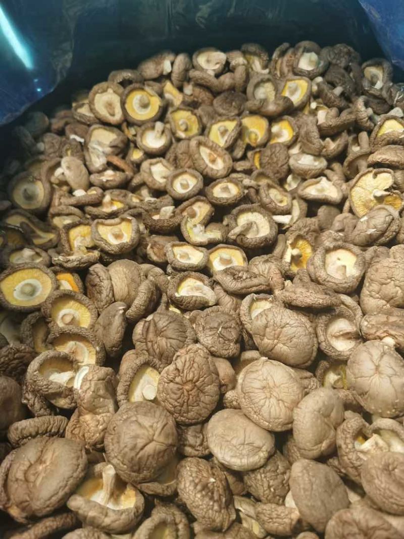 干香菇产地源头基地直一手货源新货电商供货