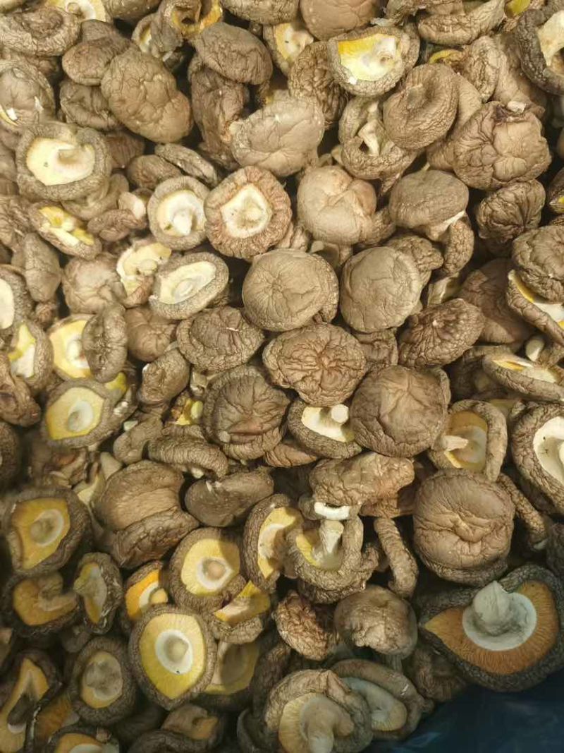 干香菇产地源头基地直一手货源新货电商供货