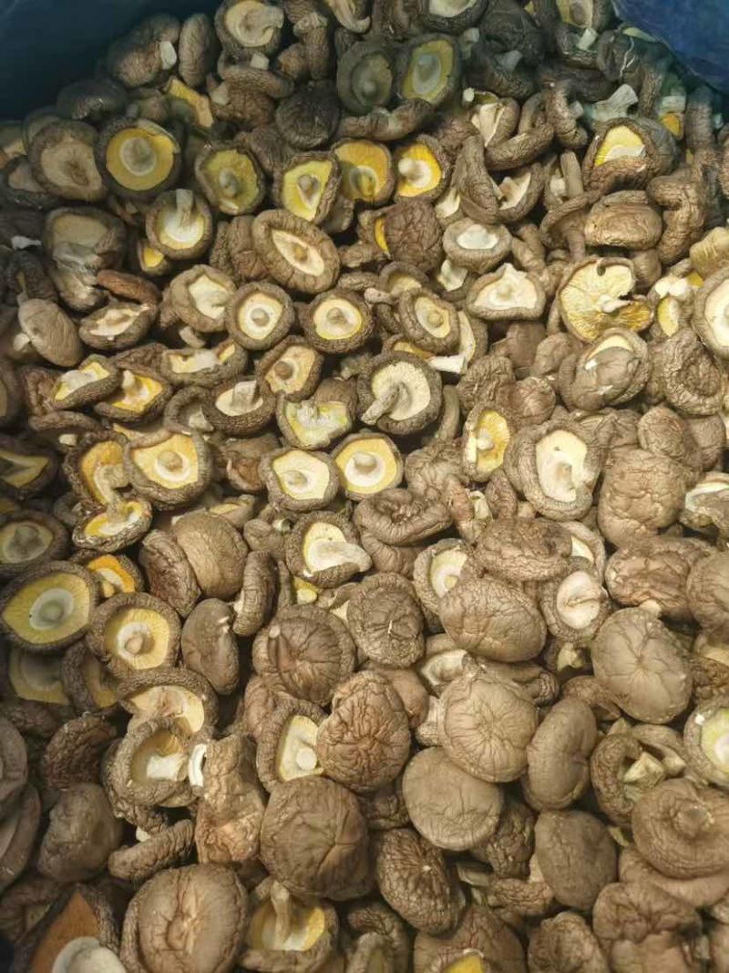 干香菇产地源头基地直一手货源新货电商供货