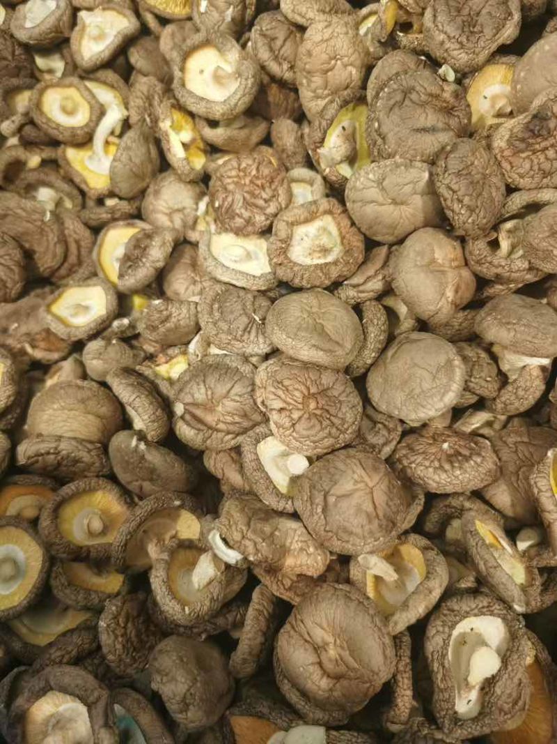 干香菇产地源头基地直一手货源新货电商供货