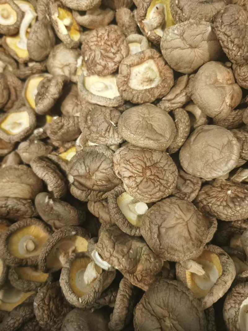 干香菇产地源头基地直一手货源新货电商供货