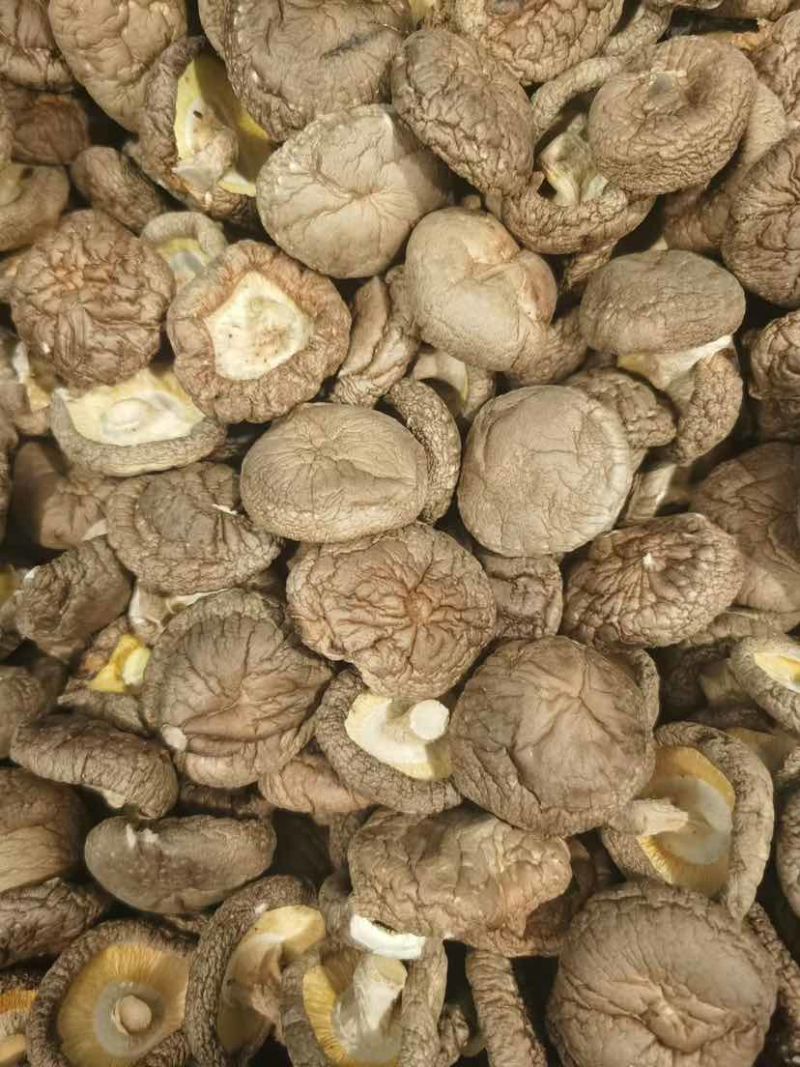 干香菇产地源头基地直一手货源新货电商供货