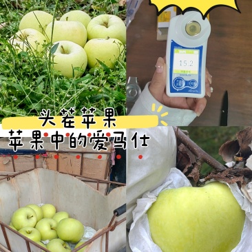 青森明月苹果