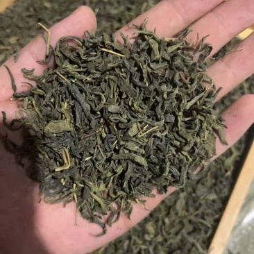 绿茶云雾茶香茶