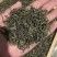 绿茶云雾茶香茶