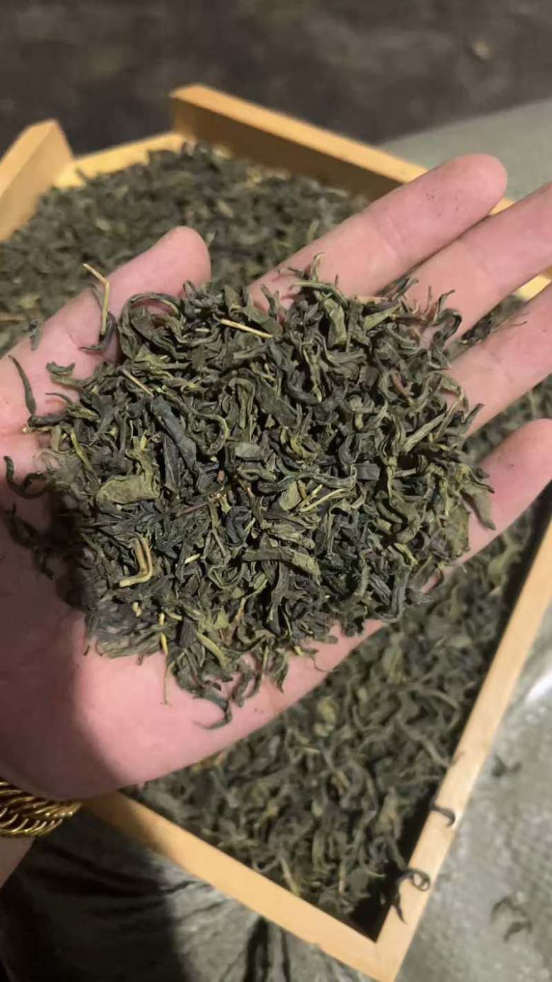绿茶云雾茶香茶