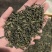 绿茶云雾茶香茶