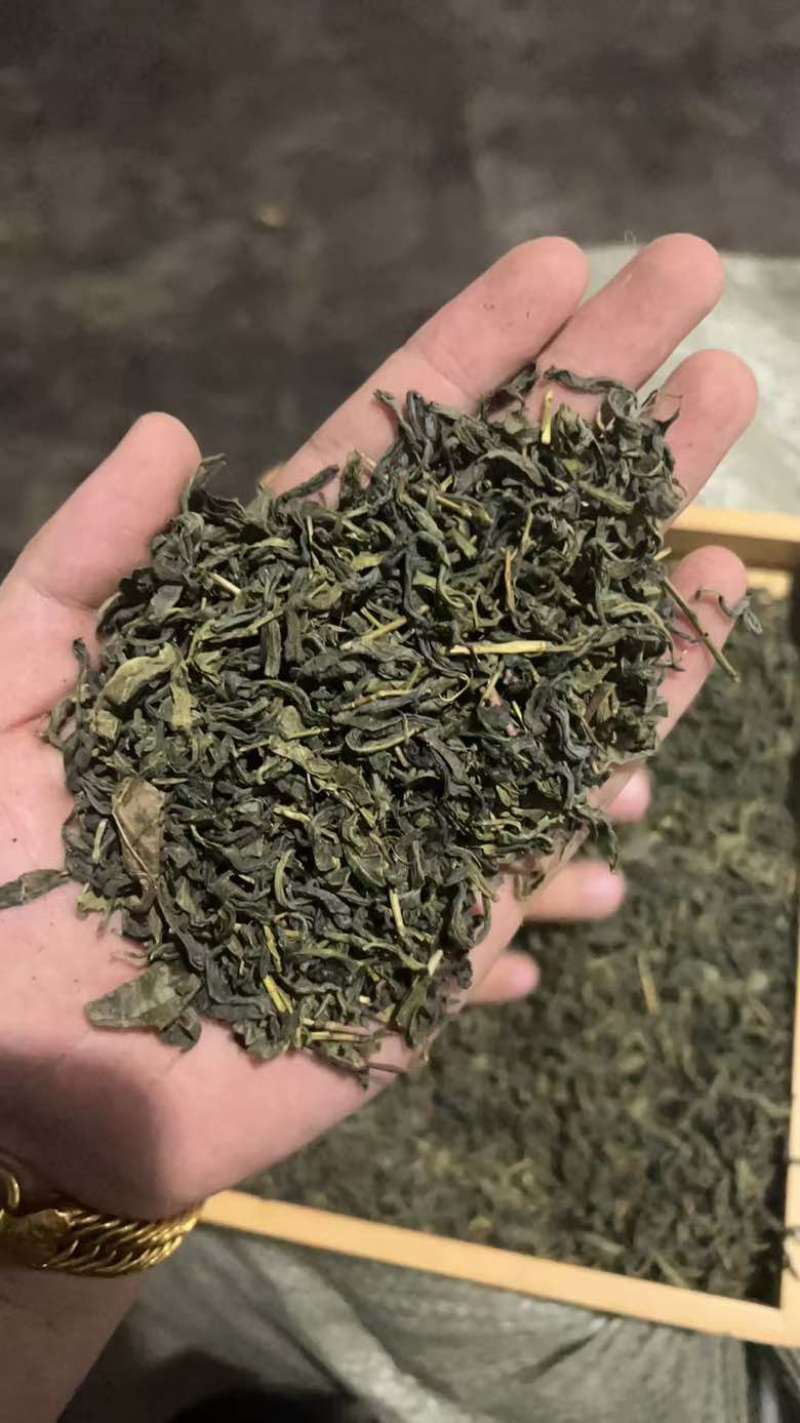 绿茶云雾茶香茶