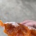 精品流心柿饼