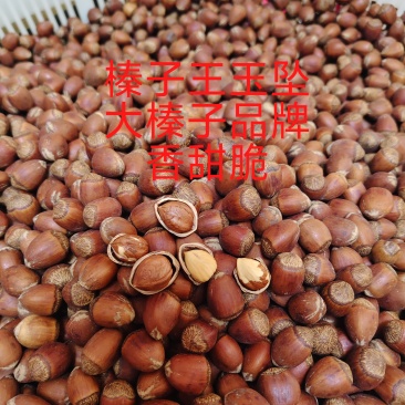 榛子王玉坠榛子香甜脆