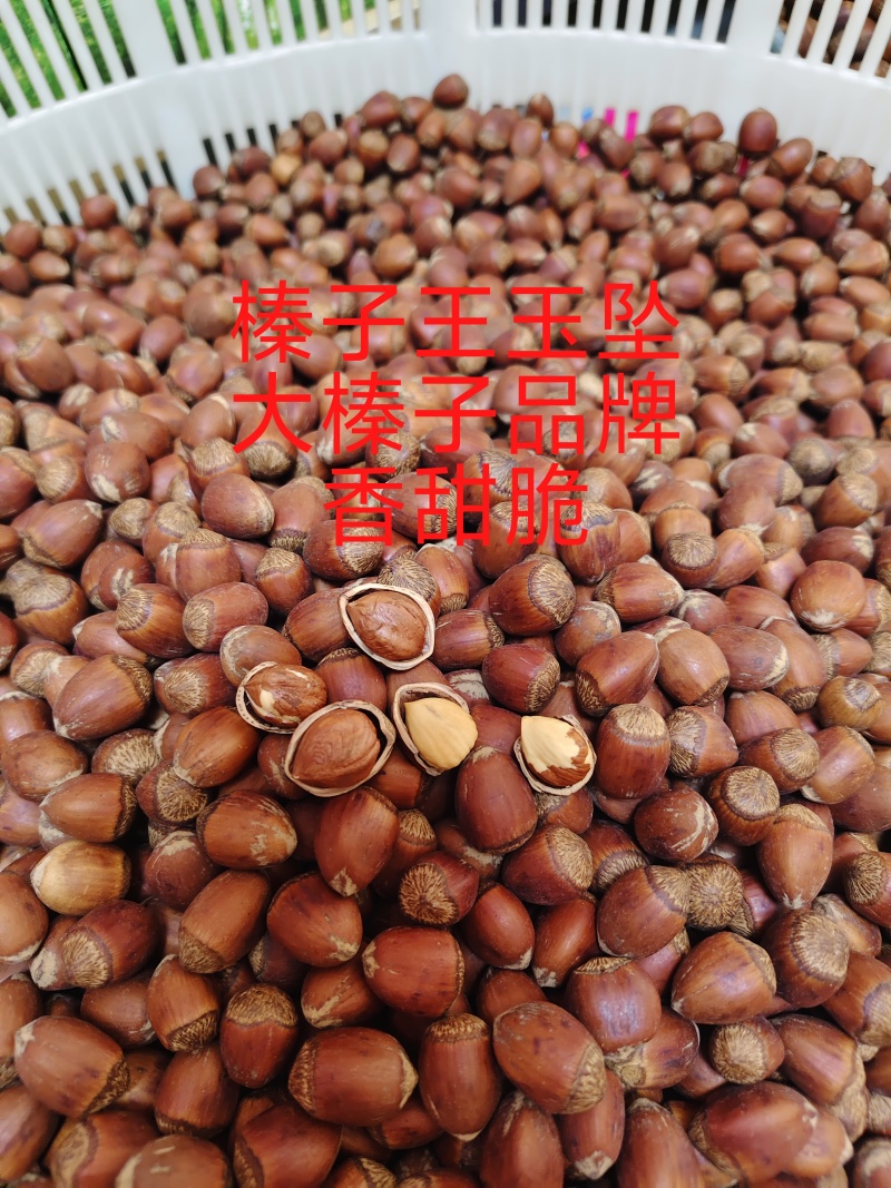 榛子王玉坠榛子香甜脆