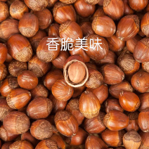 大榛子