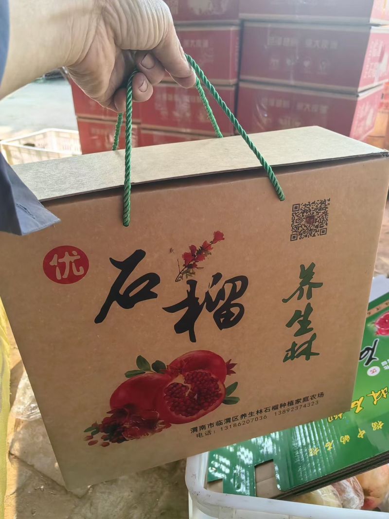陕西临潼石榴