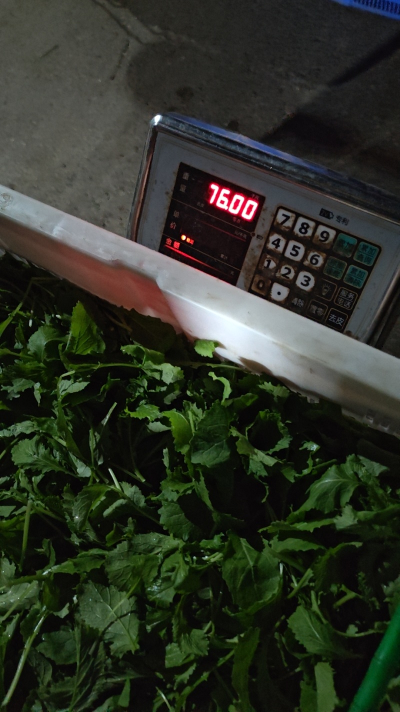 火锅小菜十个品种