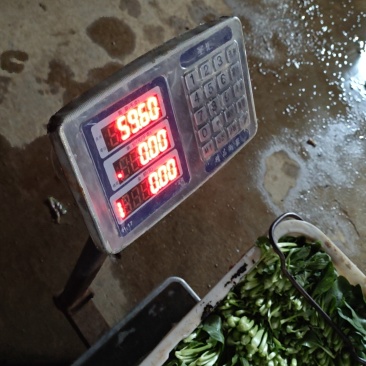 火锅小菜十个品种