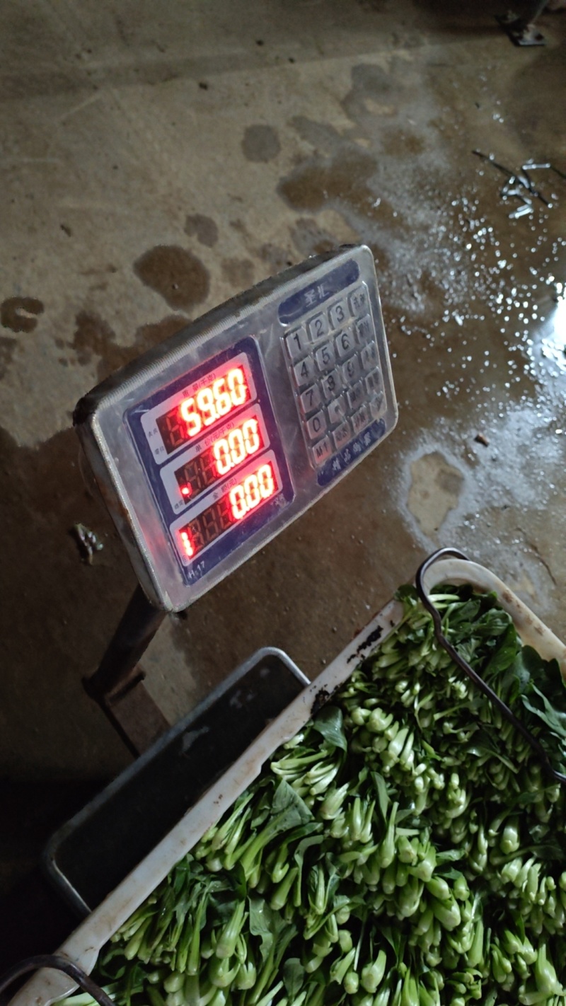 火锅小菜十个品种