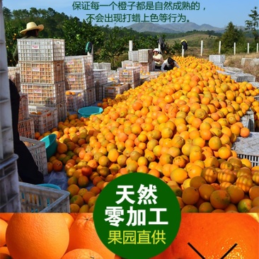 赣南脐橙