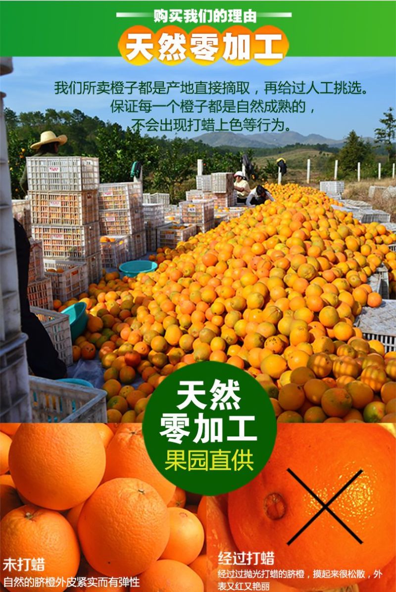 赣南脐橙