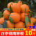 赣南脐橙