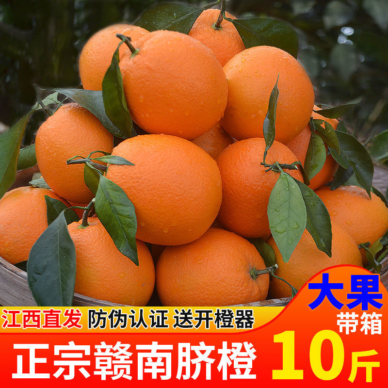 赣南脐橙