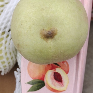 丑桃
