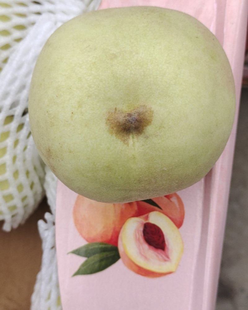 丑桃