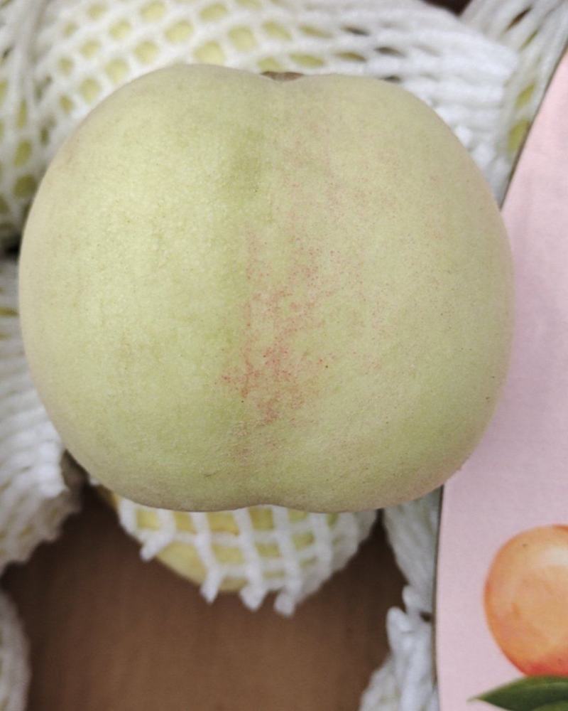 丑桃