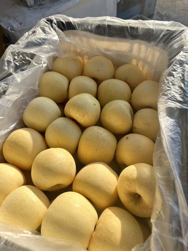 维纳斯黄金苹果电商一件合作