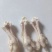 熟脱鸡爪个人存货价格实惠